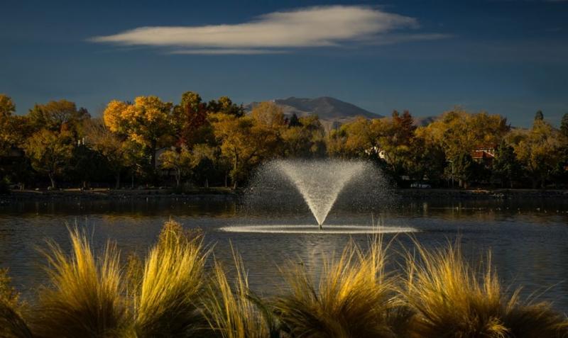 FB-water-quality-system